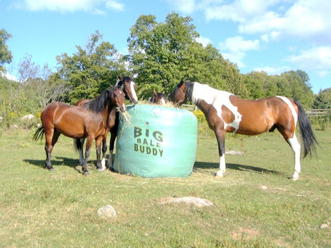 Slow Bale Buddy Round Bale Feeder Northern Tack