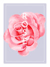 Rose Dusting Powder