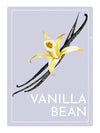 Vanilla Bean Perfume Oil