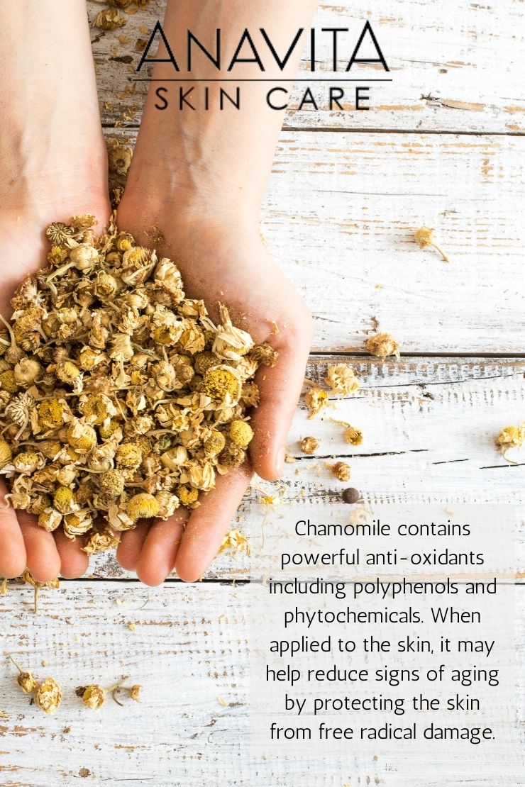 chamomile-for-anti-aging