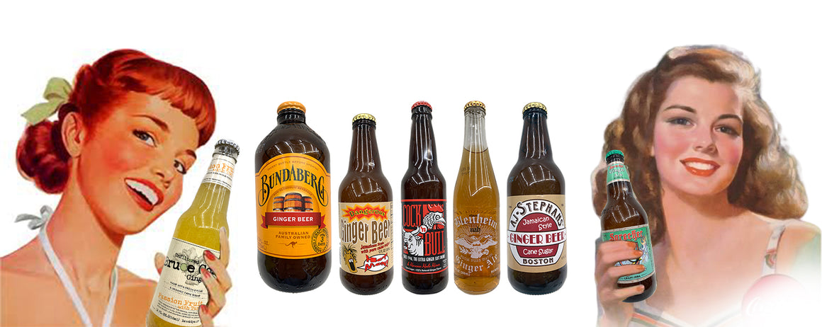 Ginger Ale / Ginger Beer Sampler 6 Pack - Novelty Candy, Retro Glass Soda &  Quirky Gifts – Blooms Candy & Soda Pop Shop