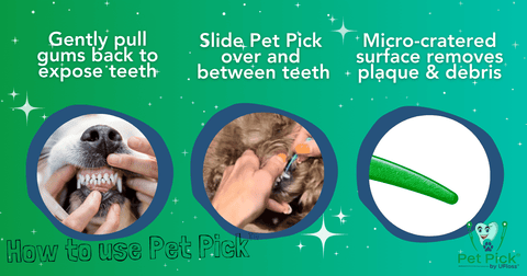 Pet Pick dental tool "how to use" diagram