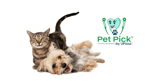 Dog and cat playfully wrestling beside Pet Pick logo