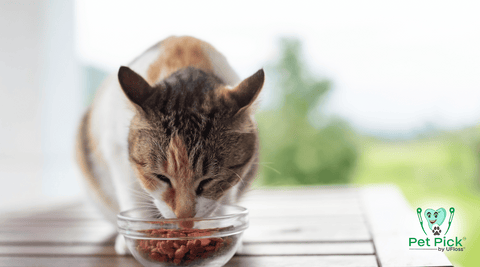 Cat eating from bowl and Pet Pick logo in bottom-right corner