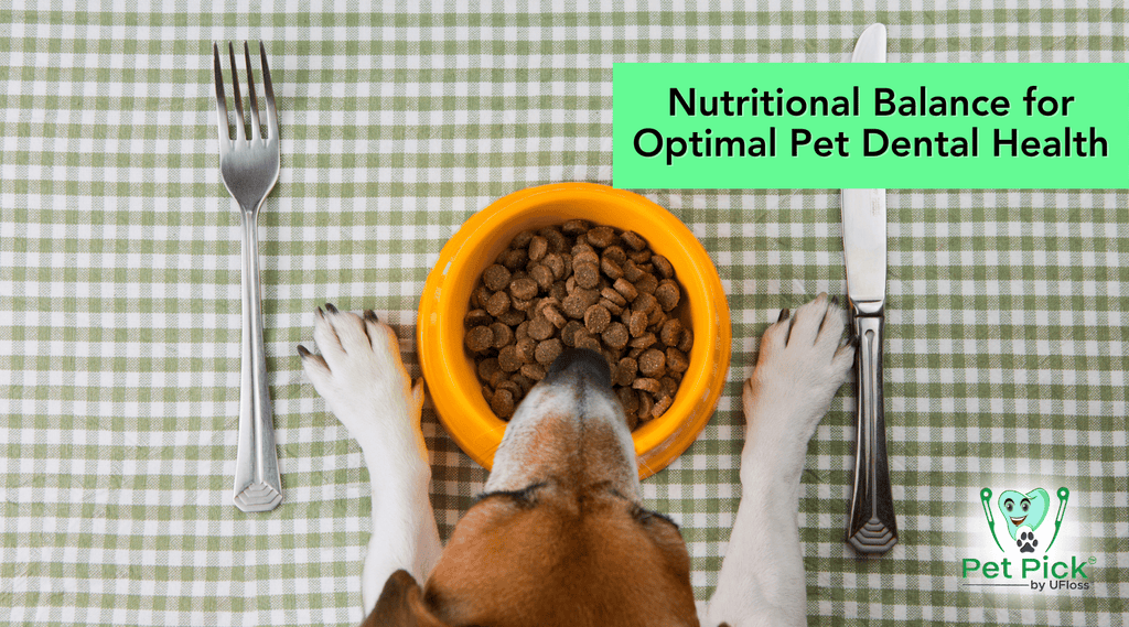 Dog at dinner table with knife and fork and text that reads, "Nutritional Balance for Optimal Pet Dental Health"