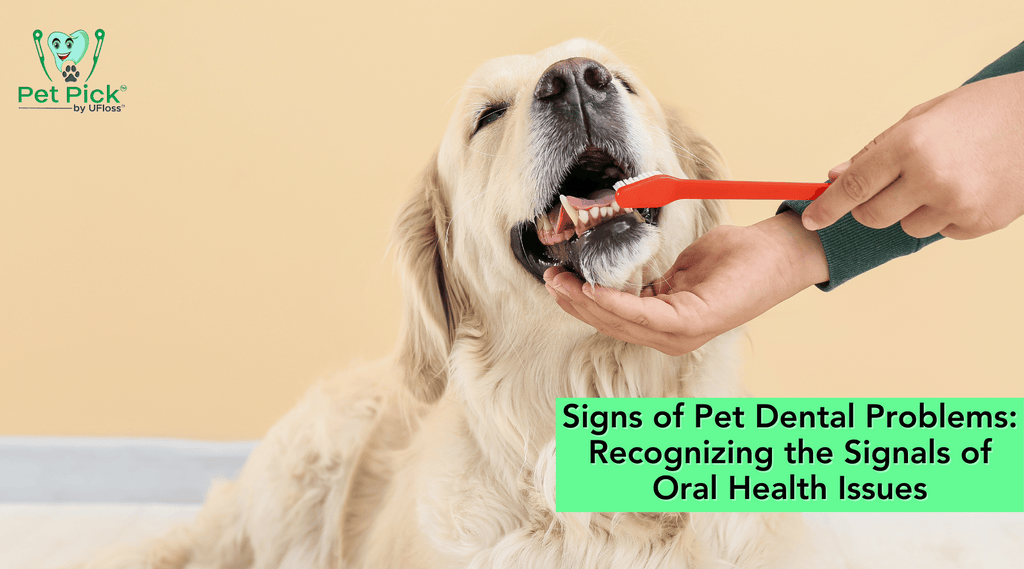 Yellow lab getting teeth brushed with Pet Pick logo in upper left corner
