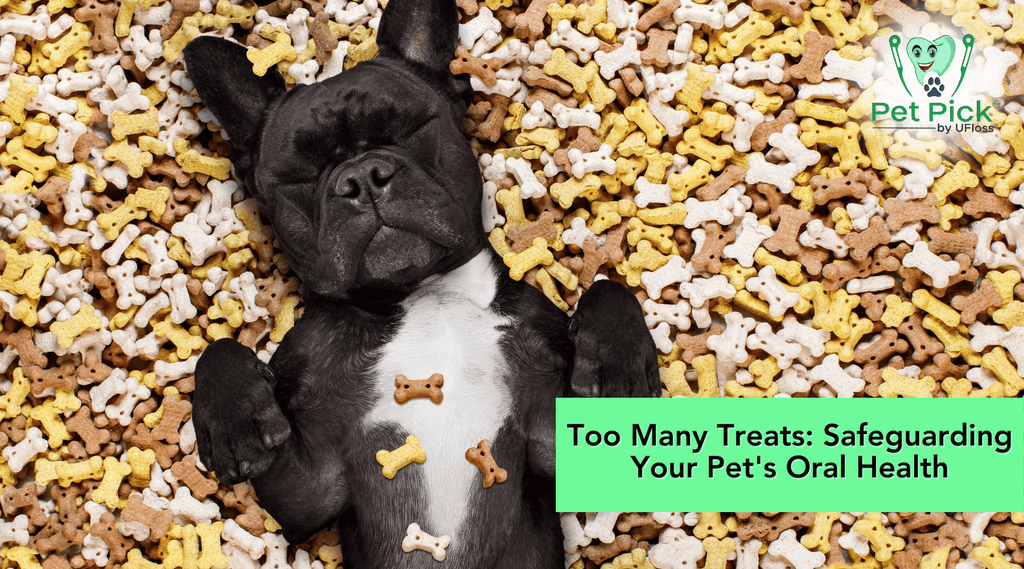 Black pug lying in a heap of dog treats beside article title, "Too Many Treats: Safeguarding Your Pet's Oral Health"