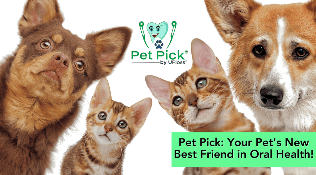 Cats and dogs looking at the viewer against white background with Pet Pick dental tool logo above and the words, "Pet Pick: Your Pet's New Best Friend in Pet Oral Health."