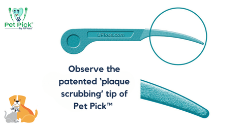 Pet Pick by UFloss micro-cratered tip describing plaque removal properties