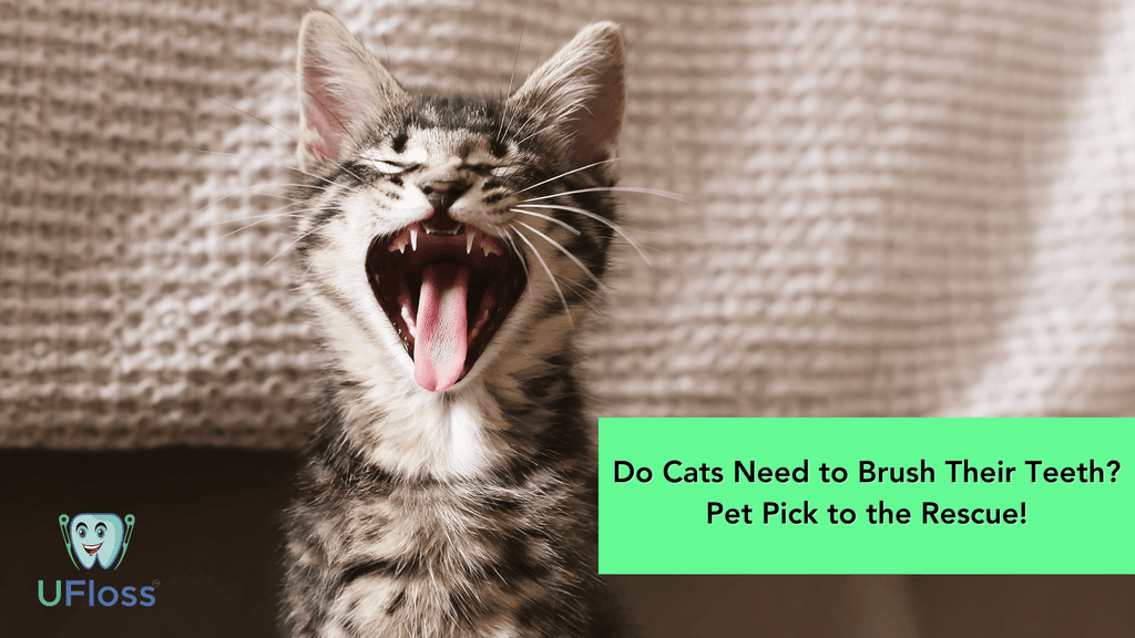 Cat yawning to show healthy teeth beside green text box that reads, "Do Cats Need To Brush Their Teeth? Pet Pick to the Resuce"
