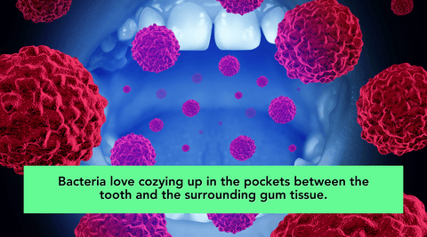 Graphic rendering of inside of a mouth showing bacteria beside oral health factoid