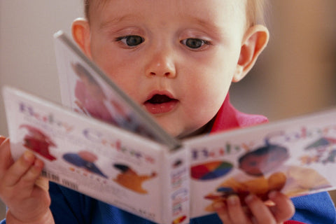 A toddler reading a board book