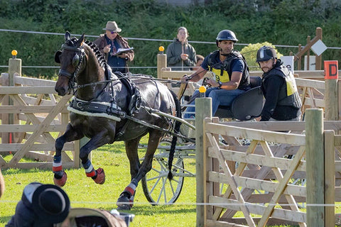 chevaux et attelage epreuve marathon