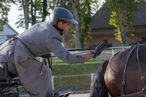 tony ecalle epreuve dressage attelage