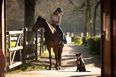 julie francis marley thoroughbred reform race stable second chance naca helmet riding helmet dogs and horses