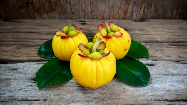 Can Garcinia Cambogia (HCA) help in weight loss