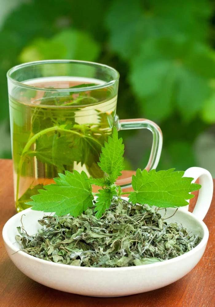 Nettle Leaf: Natural remedy to treat kidney problems