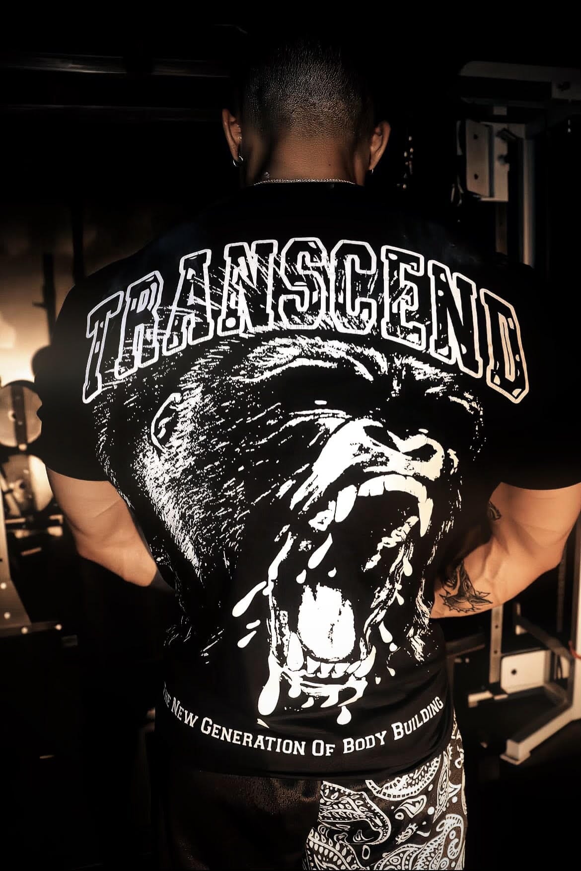 Transcend T-shirt - Vanqore product image