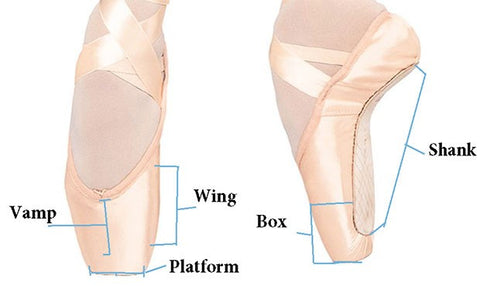 Discover the parts of your pointe shoe – Limbers Dancewear