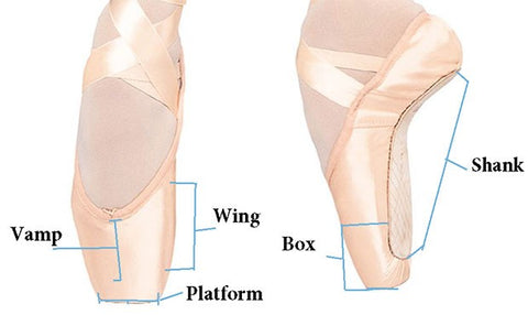 Anatomy of a Pointe Shoe — Ballet Fusion