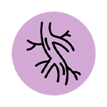 venfixe-kit-icon-2.png__PID:1caa1ce2-d990-4118-a369-d5eff2e4f069