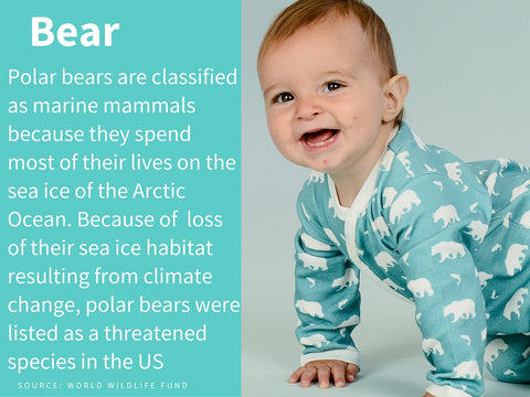 Our Design Inspiration: (Polar) Bear