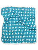 Organic Blanket for Baby Boy - Penguin Organics