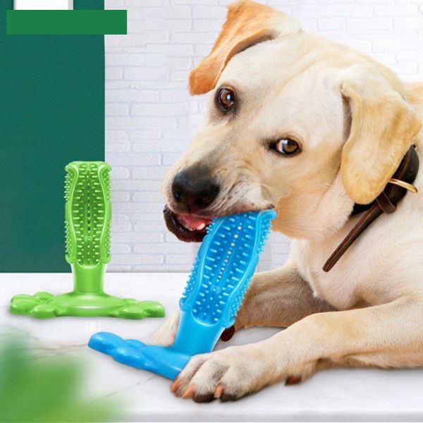 Dog Tooth-Brush