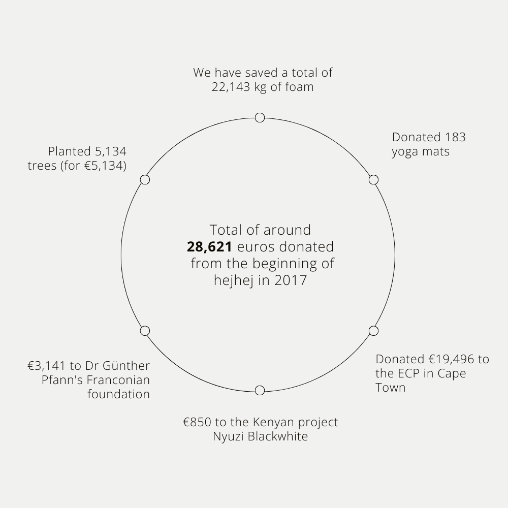 Ein visueller Überblick über die gespendeten Summen von hejhej seit Beginn