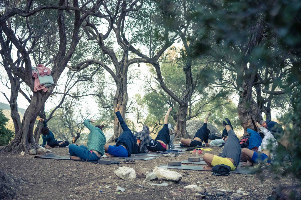 Many people next to each other doing yoga