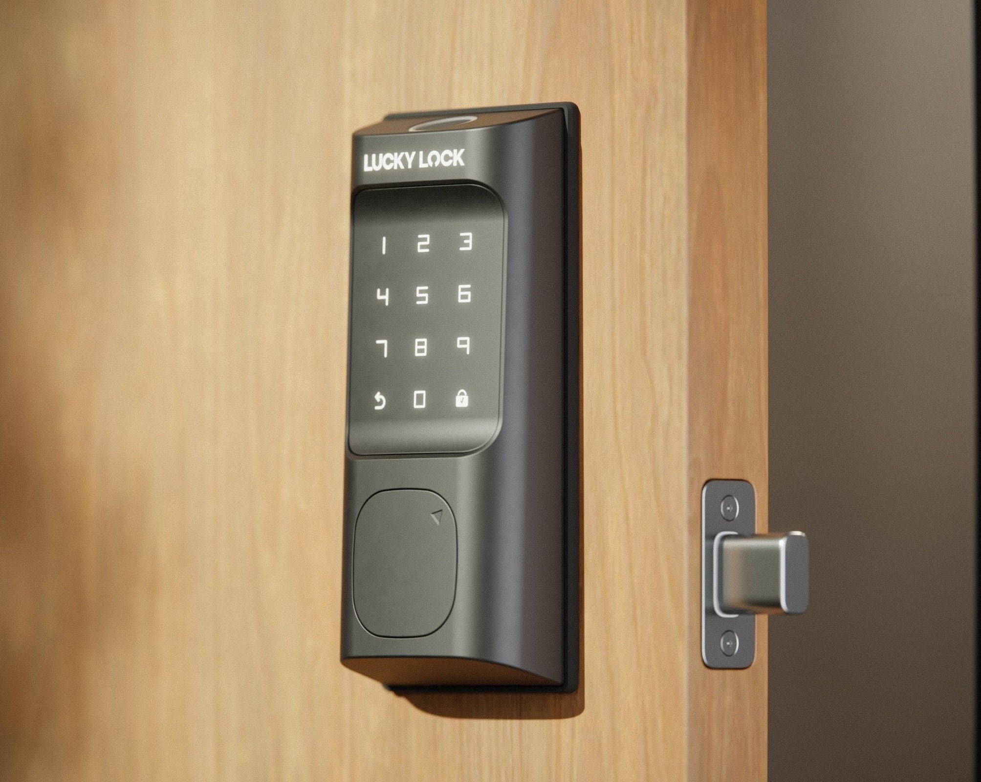 Fingerprint Smart Lock Touch D1 - LuckyLock product image