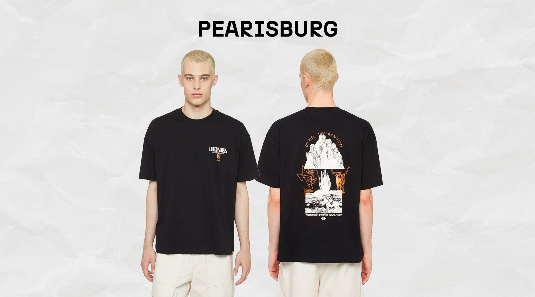 t-shirt dickies pearisburg