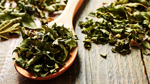 Loose leaf tea in a spoon. 