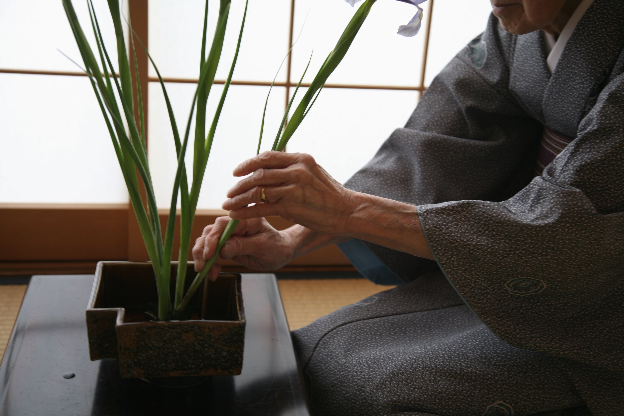 Ikebana, ikebana flower vase, japanese flower arrangement