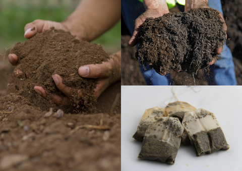 Different grow mediums: Soil, Peat, Teabags