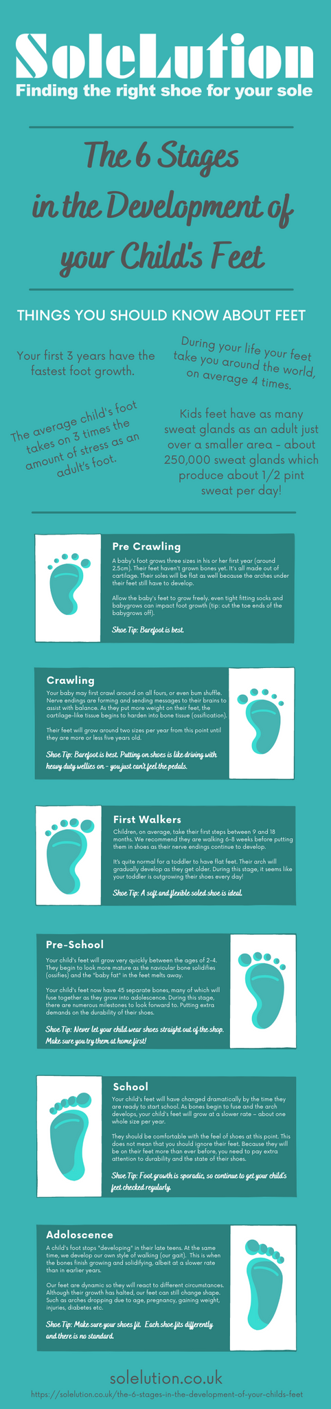 Infographic - 6 Stages of Development