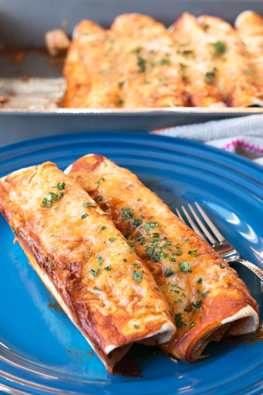 Best Ever BBQ Chicken Enchiladas | Sauce + Style Blog (pigofthemonth.com)