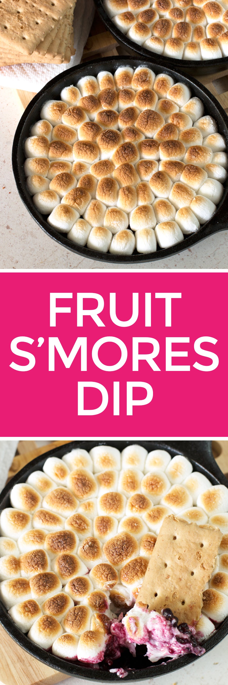 Trio of Fruit S'mores Dips | pigofthemonth.com