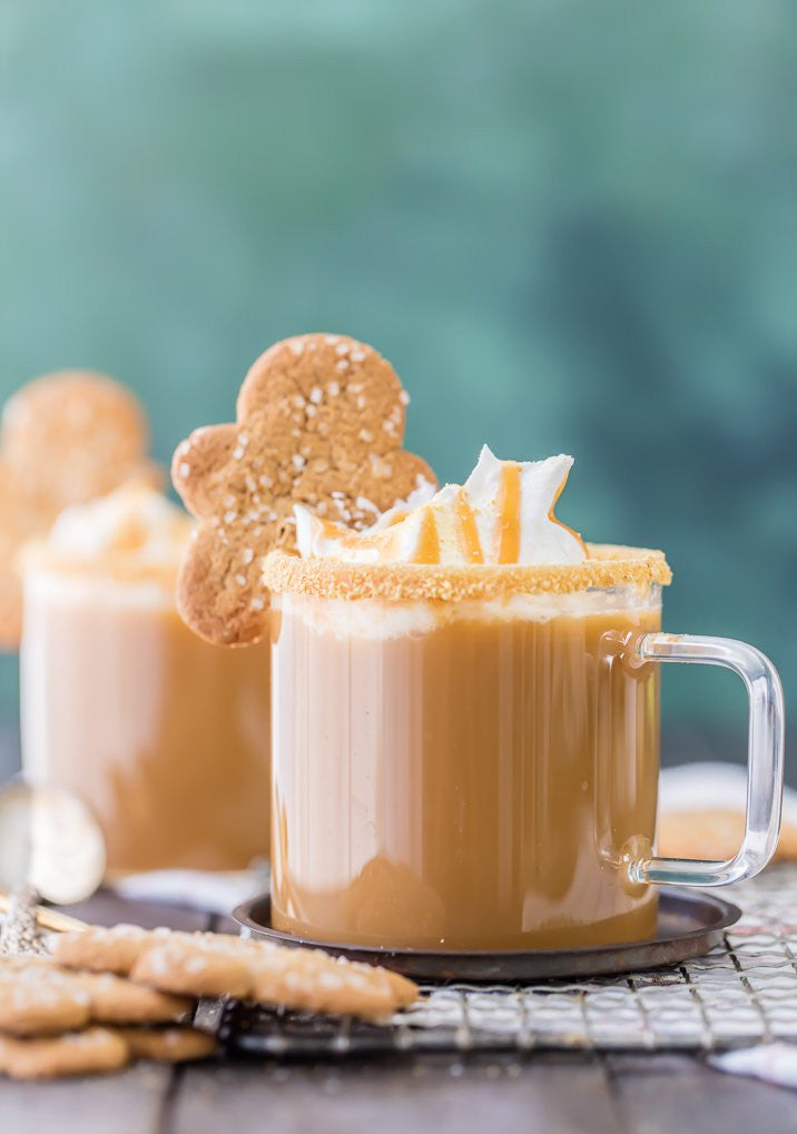 https://cdn.shopify.com/s/files/1/0753/2323/files/slow-cooker-gingerbread-latte-4-of-10.jpg?14388674806642867137