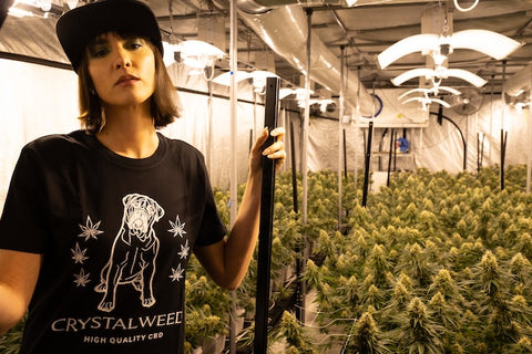 Femme dans usine de production de cannabis