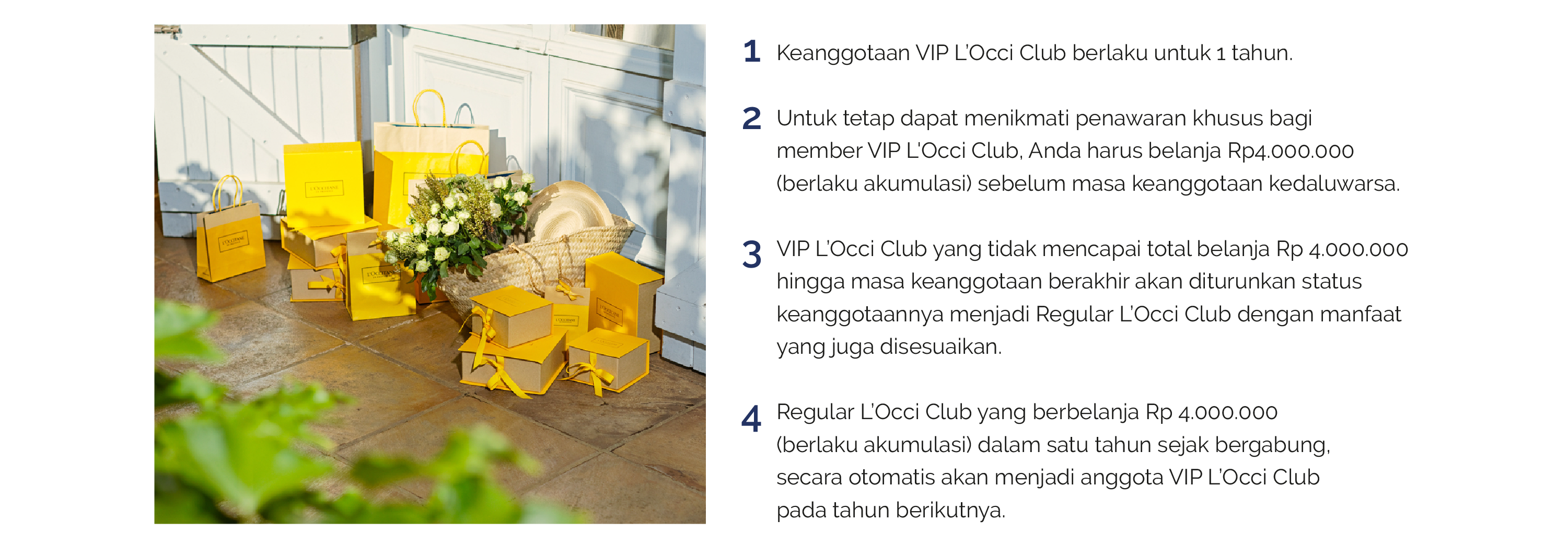 LOCCI CLUB RENEWAL and UPGRADES