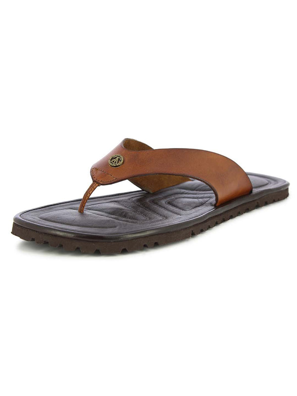 alberto torresi chappal