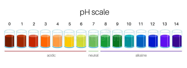 Échelle de pH