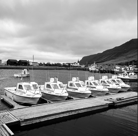 Fisk Club Flateyri Westfjords