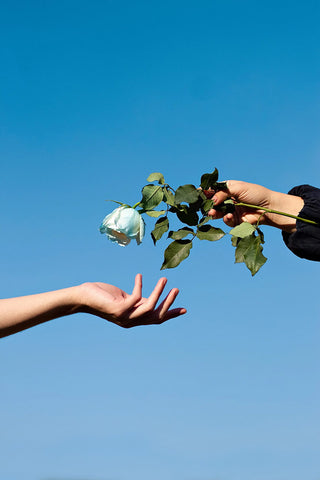 A hand offers a rose to an open hand against a blue background. Photo by Jhefferson Santos.