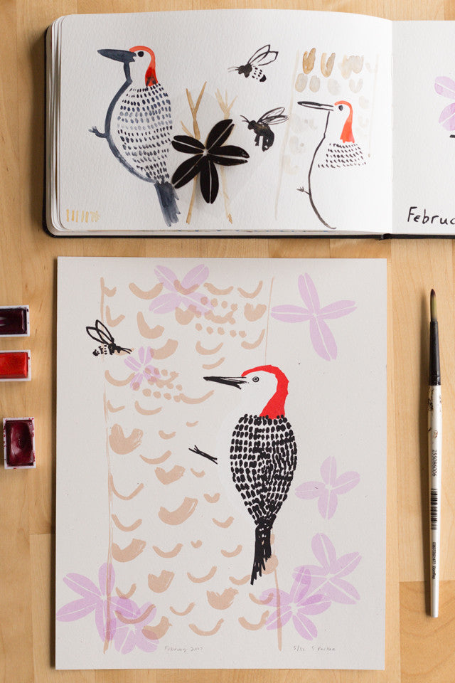 Red-bellied woodpecker drawing
