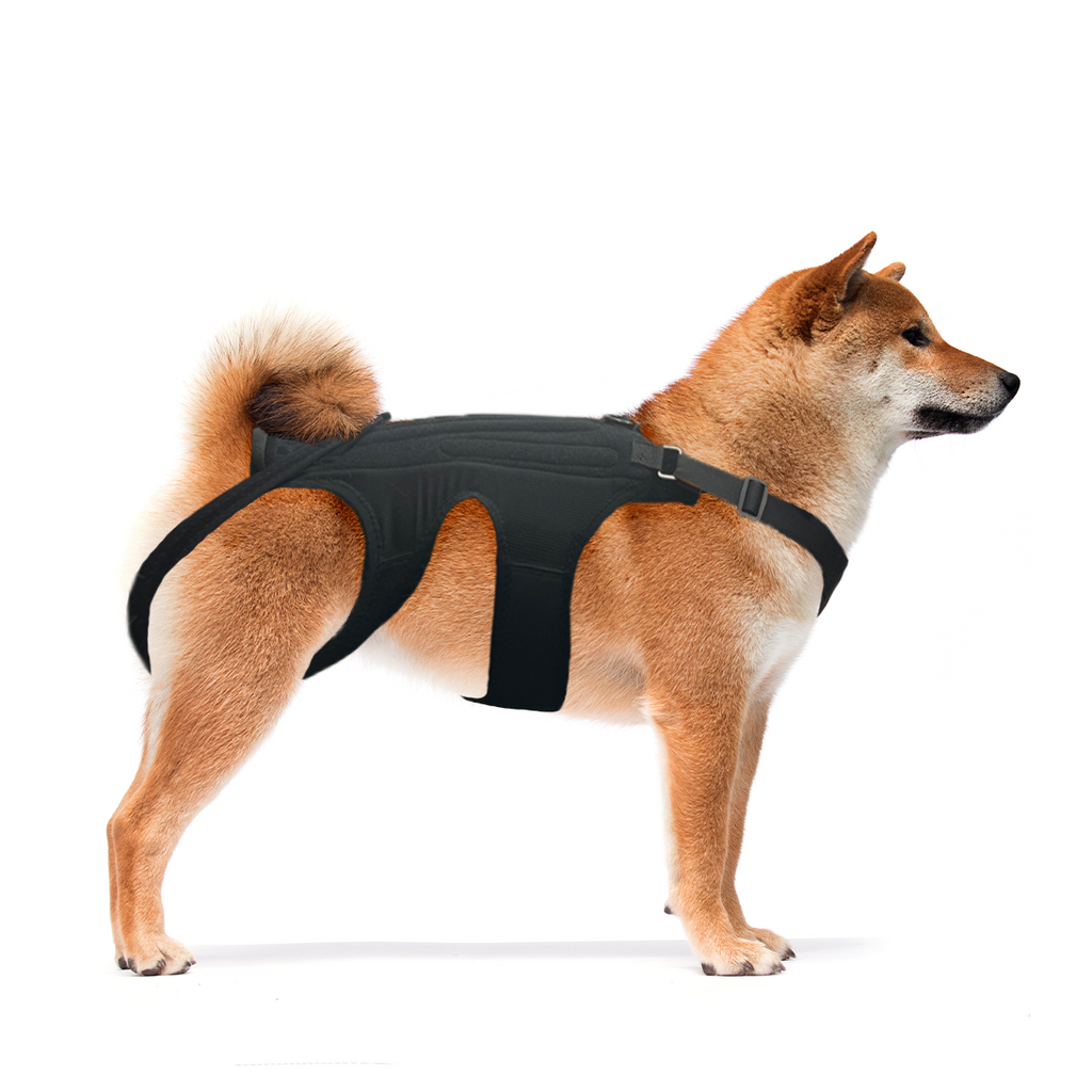 NeoAlly Multi-Function Surgical Recovery Suit 3 Level Compression Anxiety  Relief Dog Calming Vest