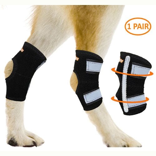 NEOALLY Rear Leg Metal Spring Support Dog Brace, 2 count, Medium