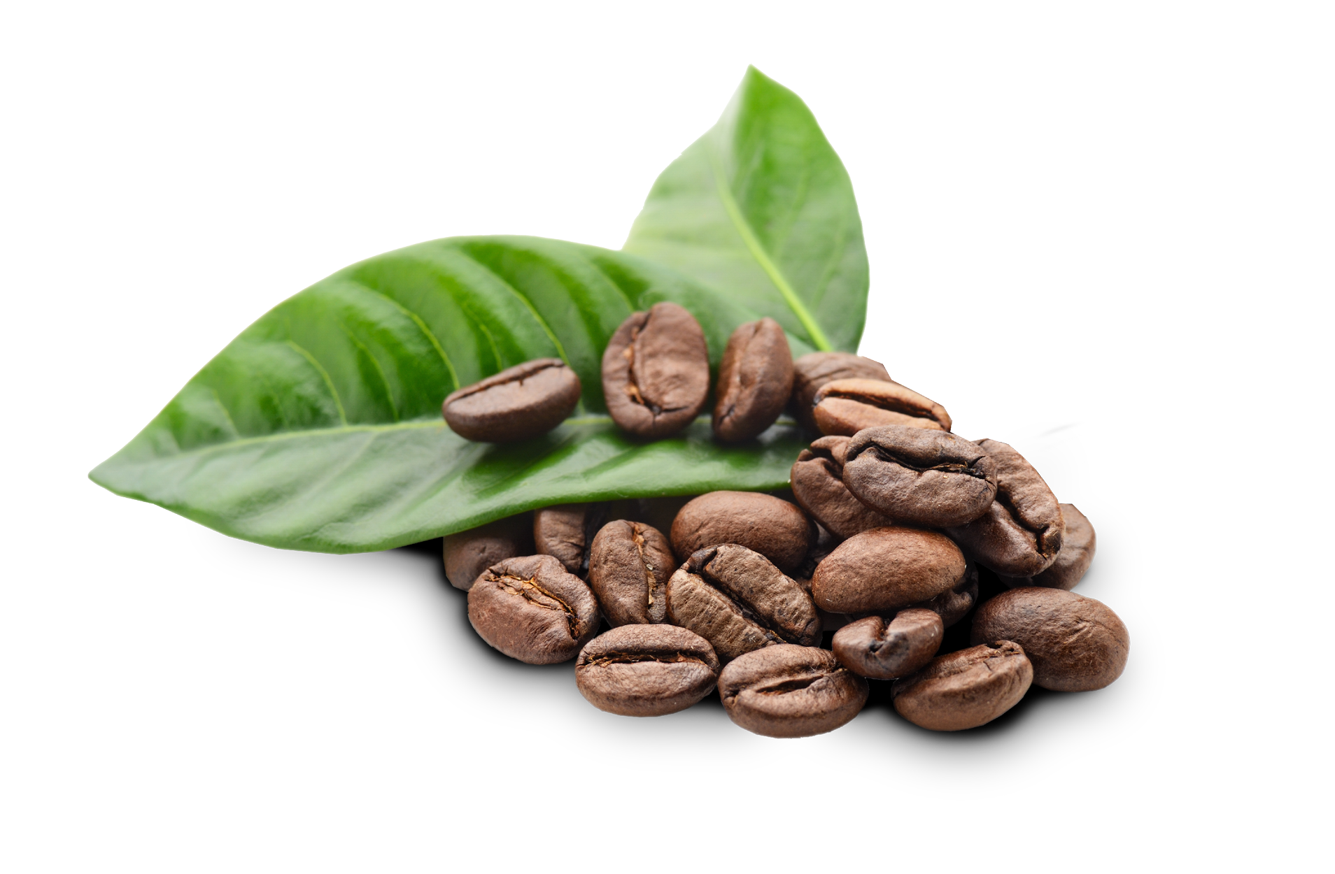 coffee beans on top of green leaf