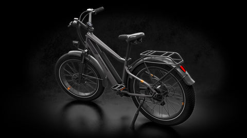 Rad Power Bikes RadRover 3D model